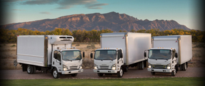 Isuzu's lineup.